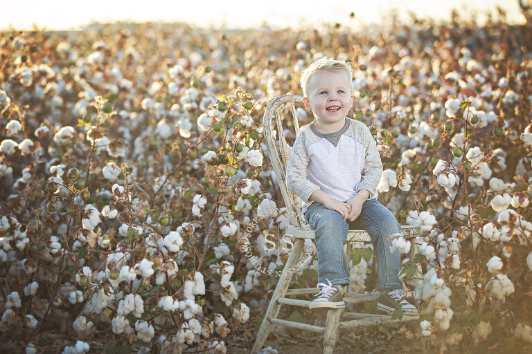 J24A9493w